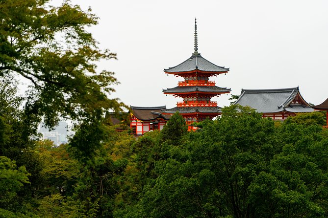 Japan Classic 10 Day - One Life Adventures - Arashiyama and Osaka finish with monkeys, boats, and karaoke