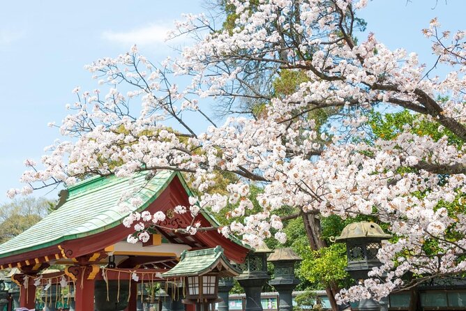 Japanese Food Experience Night Tour in Ueno - Key points at a glance