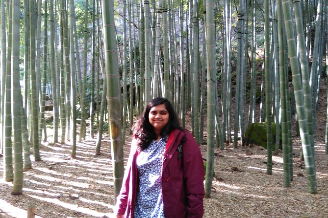 Kamakura 4hr Private Trip with Government-Licensed Guide - Find quiet among the bamboo at Hokoku-ji