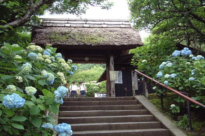 Kamakura 8 hr Private Walking Tour with Licensed Guide from Tokyo - Take in Hasedera’s ocean view