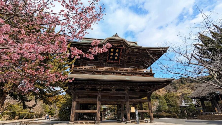 Kamakura: A Journey Through Medieval Japan - Shojin-ryori, Buddhist food with a purpose