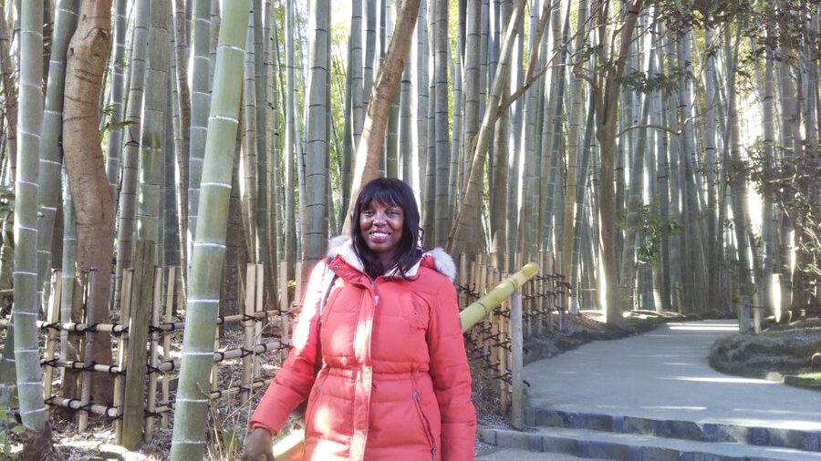 Kamakura: Private Guided Walking Tour with Local Guide - Walking, trains, taxis, and extra costs