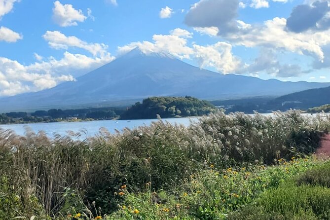 Majestic Mt. Fuji & Hakone Retreat –A Private Day Tour from Tokyo - Why the private vehicle matters