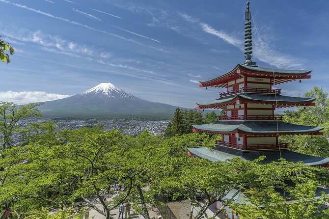 Majestic Mt. Fuji & Hakone Retreat –A Private Day Tour from Tokyo - Mount Fuji 5th Station at 2,300 meters