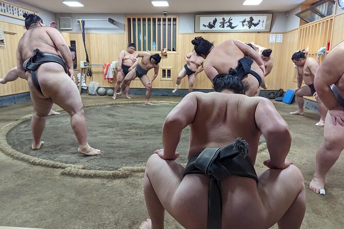 Morning Sumo Practice Viewing in Tokyo - Why morning practice feels different from tournament sumo