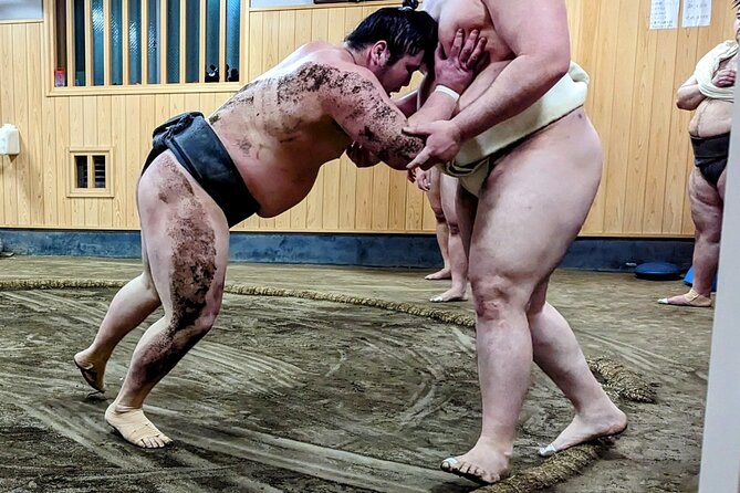 Morning Sumo Practice Viewing in Tokyo - Entering Naruto-beya in Sumida City