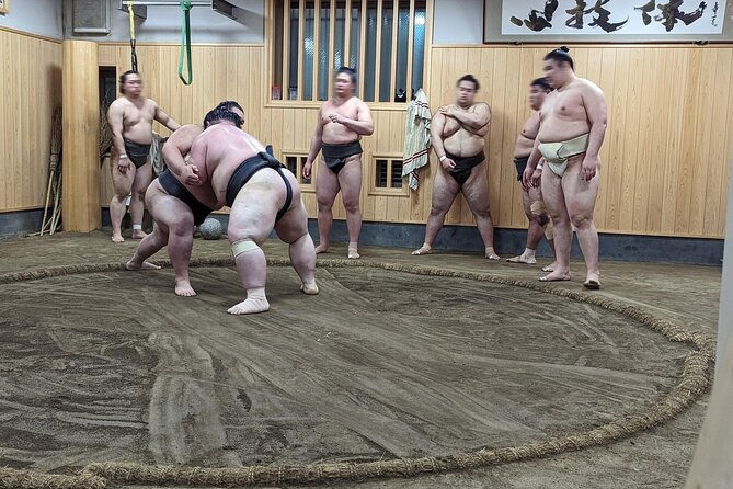 Morning Sumo Practice Viewing in Tokyo - Photos with wrestlers and the question of lunch