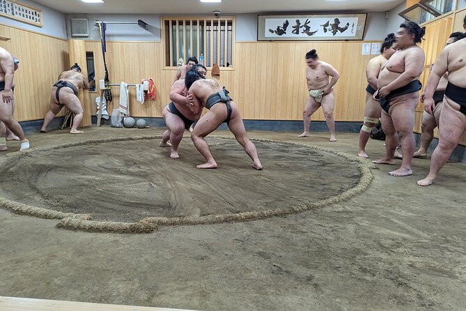 Morning Sumo Practice Viewing in Tokyo - Who will get the most from this experience?