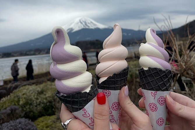 Mount Fuji Adventures Private English Tour With Hotel Pick Up - Key points to know before booking
