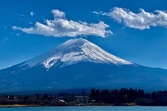 Mount Fuji Adventures Private English Tour With Hotel Pick Up - Chureito Pagoda and the famous Fuji photograph