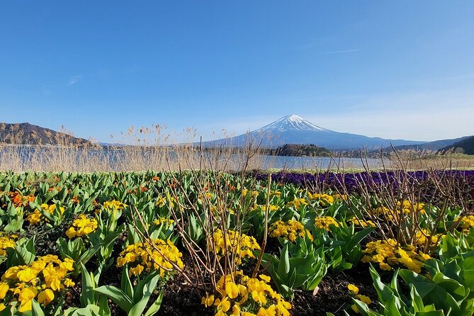 Mount Fuji Adventures Private English Tour With Hotel Pick Up - Arakura Sengen Shrine and Oshino Hakkai