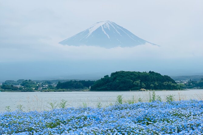 Mount Fuji Adventures Private English Tour With Hotel Pick Up - The driver can shape the whole experience