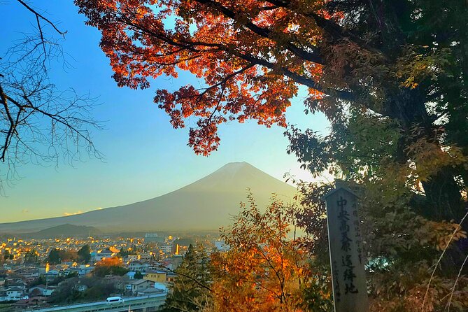 Mount fuji and Hakone Full day private sightseeing tour - Saiko Iyashi no Sato Nemba preserves an older village style