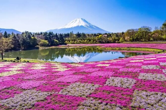 Mount Fuji and Hakone Private Tour by Car with Pickup from Tokyo - The quick take: private comfort with a flexible route