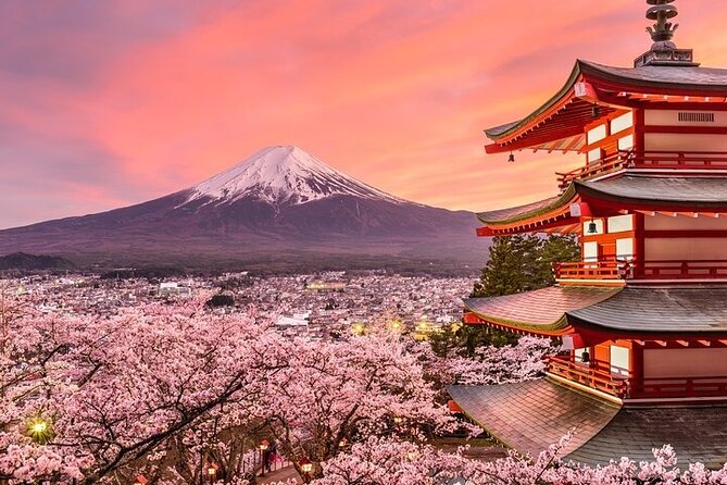 Mount Fuji and Hakone Private Tour by Car with Pickup from Tokyo - What the $389 private price really buys you
