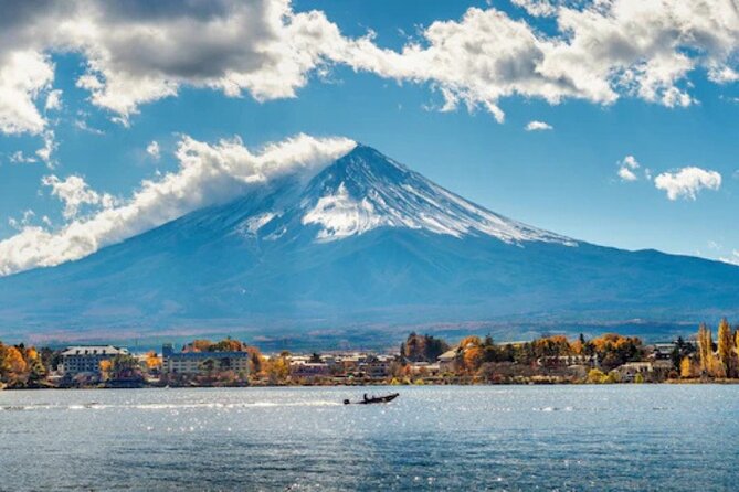 Mount Fuji and Hakone Private Tour by Car with Pickup from Tokyo - Lake Ashi and the Wild Grass Garden