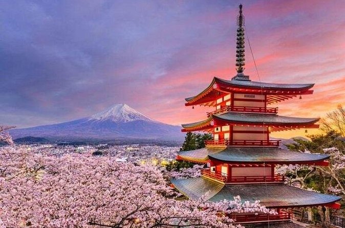 Mount Fuji and Hakone Private Tour by Car with Pickup from Tokyo - Gora Park for a gentler hour