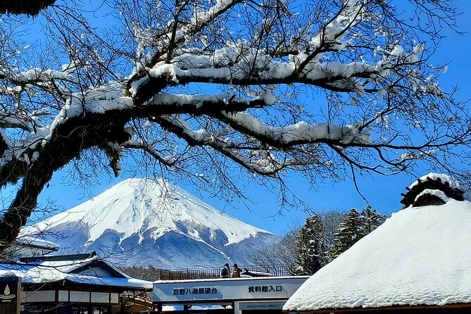 Mount Fuji and Hakone Private Tour from Tokyo (Customizable) - Key points at a glance