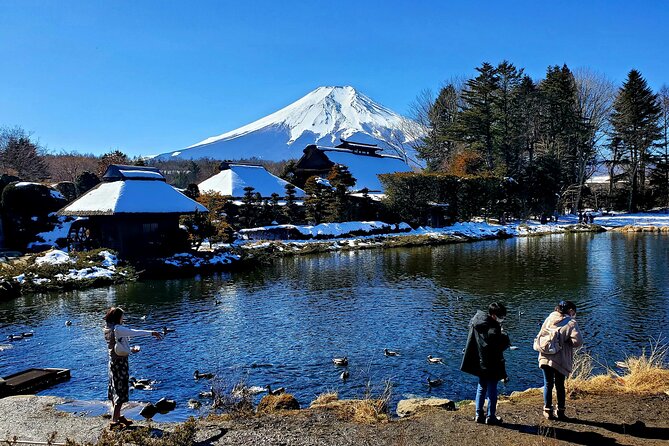 Mount Fuji and Hakone Private Tour from Tokyo (Customizable) - Chureito Pagoda and the classic Fuji view