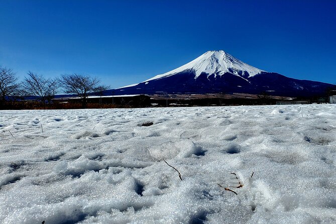Mount Fuji and Hakone Private Tour from Tokyo (Customizable) - Oshino Hakkai and its clear spring water