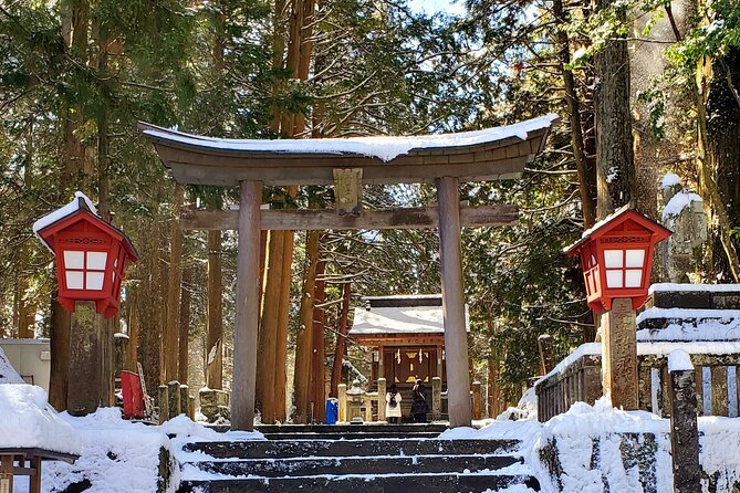 Mount Fuji and Hakone Private Tour from Tokyo (Customizable) - The Hakone Ropeway and Owakudani Valley