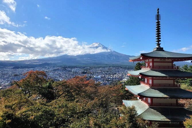 Mount Fuji and Hakone Private Tour from Tokyo (Customizable) - Kitaguchi Hongu Fuji Sengen Jinja