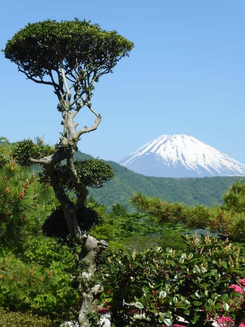 Mount Fuji: Customizable Private Tour By Car With Pickup - Shrines with a sense of place