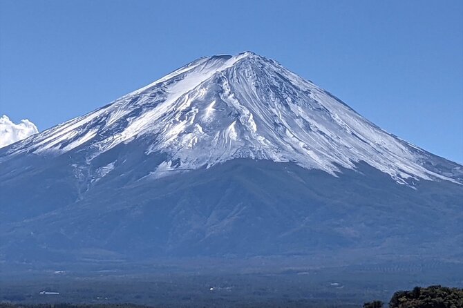 Mount Fuji Full Day Customize Private Tour with English Guide - Lake Kawaguchi and Oishi Park