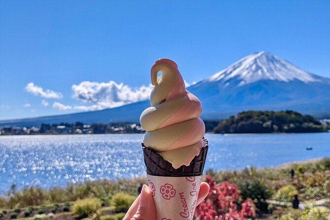 Mount Fuji Full Day Customize Private Tour with English Guide - Gotemba Premium Outlets and the final hours