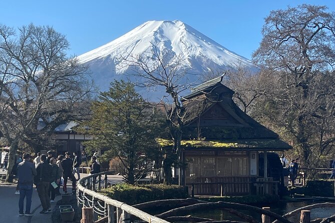 Mount Fuji Full Day Customize Private Tour with English Guide - Mount Fuji 5th Station and the mountain itself