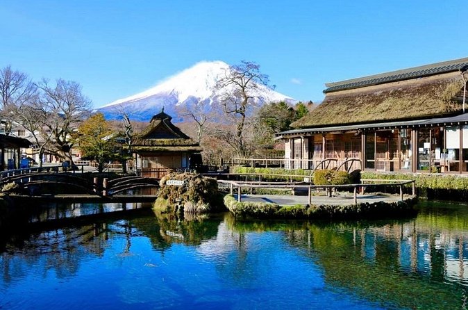 Mount Fuji Full Day Customized Private Tour with English Guide - Gotemba Premium Outlets as a tradeoff