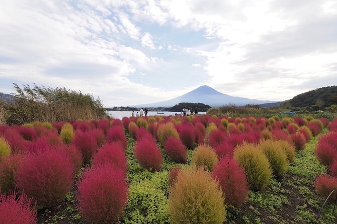 Mount Fuji Full Day Customized Private Tour with English Guide - Guides, language, and the private vehicle