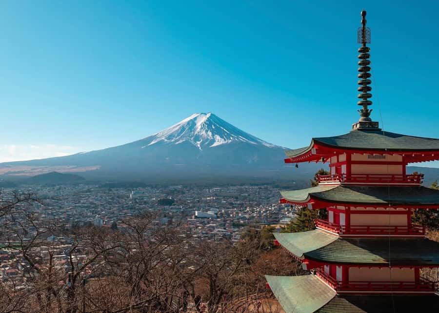 Mount Fuji Full-Day Private Sightseeing Tour with Guide - Key points to know before booking
