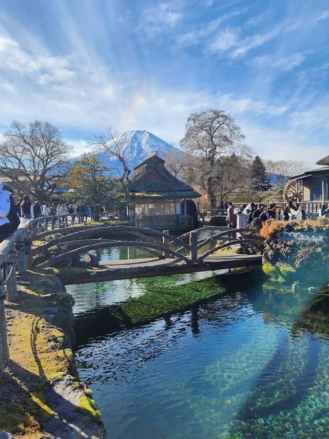 Mount Fuji Full-Day Private Sightseeing Tour with Guide - The 5th Station, if Fuji allows it