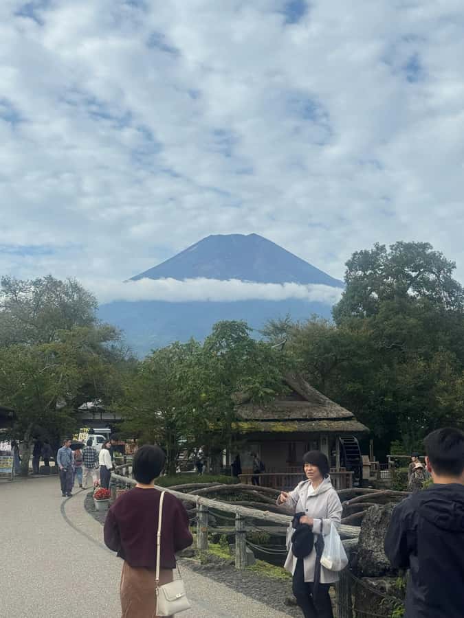 Mount Fuji Full-Day Private Sightseeing Tour with Guide - Saiko Iyashi no Sato Nemba and local culture