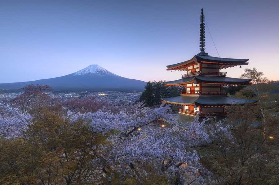 Mount Fuji Full-Day Private Sightseeing Tour with Guide - Comfort, pace, and family suitability