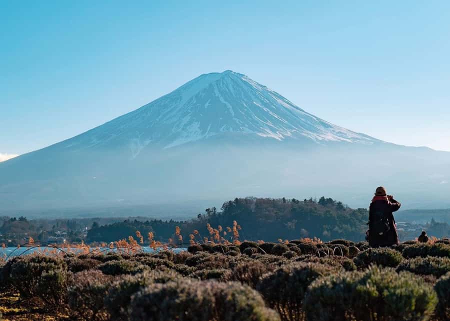 Mount Fuji Full-Day Private Sightseeing Tour with Guide - Tokyo pickup and the long road west