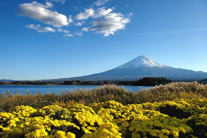Mount Fuji Full-Day Private Tour from Tokyo (Customizable) - Why a private Fuji day from Tokyo makes sense