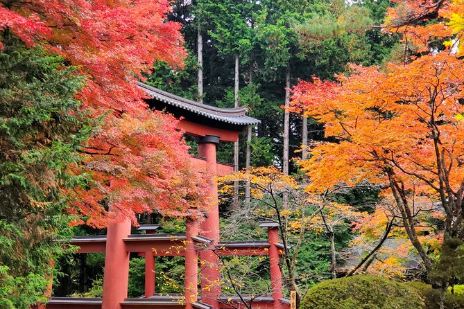 Mount Fuji Full-Day Private Tour from Tokyo (Customizable) - What the driver experience is like