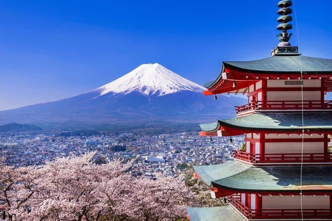 Mount Fuji Full Day Sightseeing Tour from Tokyo - Key things to know before booking