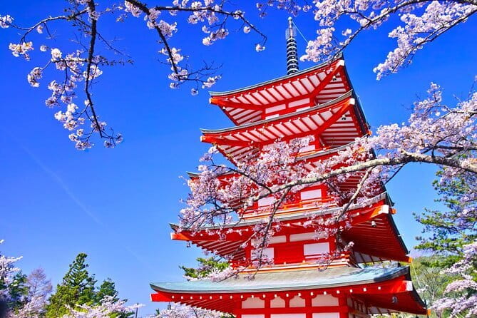 Mount Fuji Full Day Sightseeing Tour from Tokyo - Oishi Park and the first Fuji photograph