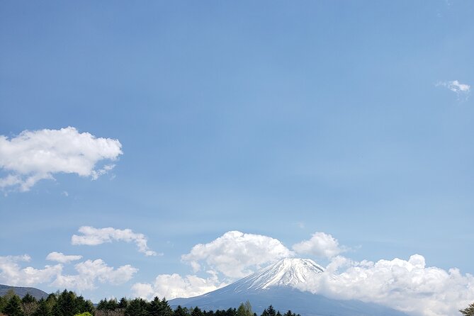 Mount Fuji, Hakone & Lakekawaguchiko Private Group Tour by Car. - Lake Kawaguchiko by water or by the shore