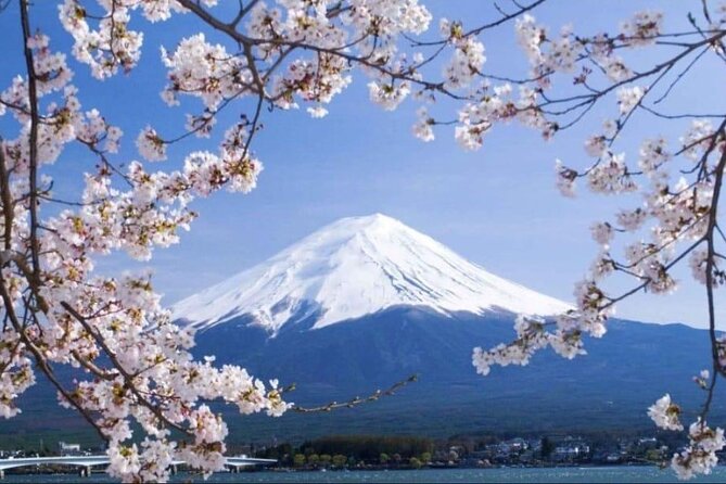 Mount Fuji & Lake Kawaguchi Day Trip with English-speaking Driver - Key points to know before booking