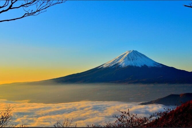 Mount Fuji & Lake Kawaguchi Day Trip with English-speaking Driver - Why a private Fuji day from Tokyo makes sense