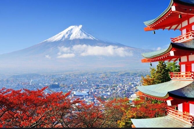 Mount Fuji & Lake Kawaguchi Day Trip with English-speaking Driver - Saiko Iyashi no Sato Nenba, a reconstructed village
