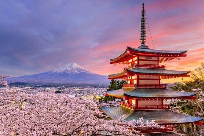 Mount Fuji (Mt. fuji) private tour by car with pickup from Tokyo - Why a private car makes sense from Tokyo