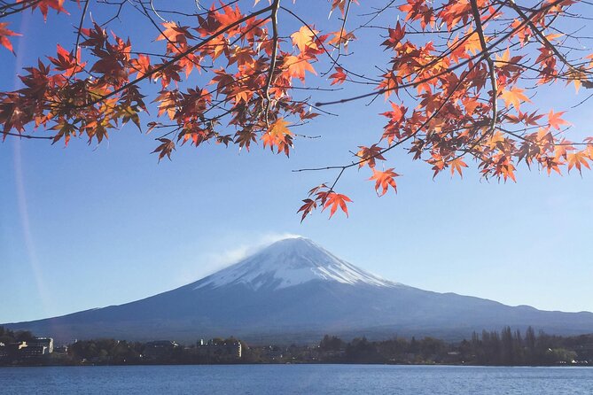 Mount Fuji (Mt. fuji) private tour by car with pickup from Tokyo - Oshino Hakkai and Fuji’s clear spring water