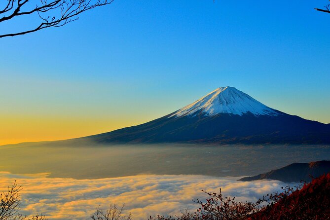 Mount Fuji (Mt. fuji) private tour by car with pickup from Tokyo - Saiko Iyashi no Sato Nemba brings old Japan into the day