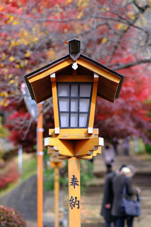 Mount Fuji Private Day Trip With Customizable Itinerary - Ropeway views and the Pirate Ship on Lake Ashi