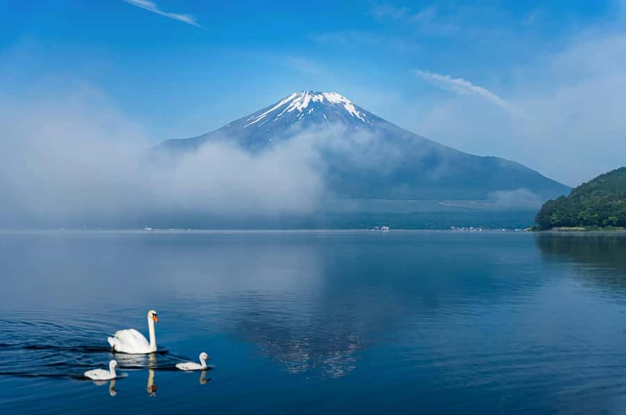 Mount Fuji Private Day Trip With Customizable Itinerary - Shrines, villages, shopping, and a slower pace